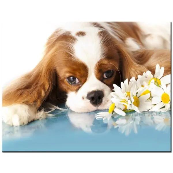 Kit Peinture Diamant 5D Cavalier King Charles Spaniel - Broderie Diamant DIY à Faire Soi-Même Pour Décoration Intérieure Étincelante
